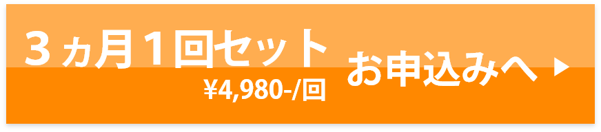 3ヵ月に一度4980円コース